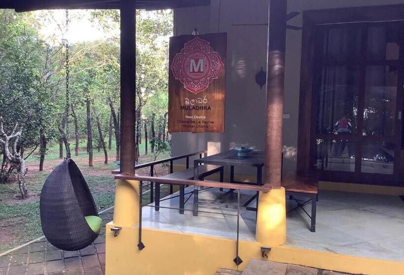 디럭스 스튜디오, Mind Body And Soul