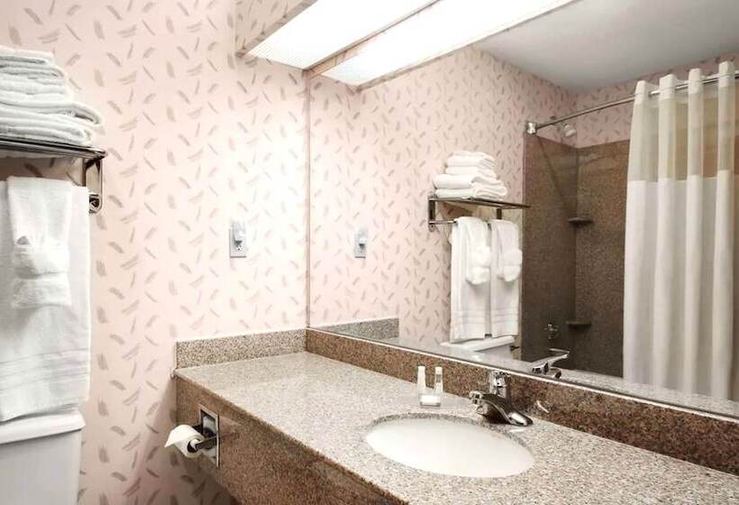 디럭스 룸, Sky Palace Inn Anthony