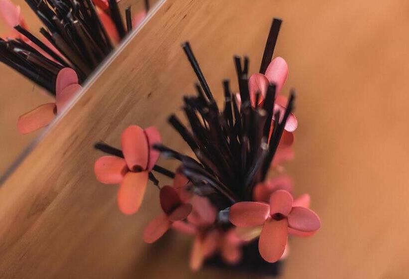 Quarto Estandar Individual, Raza De Soare