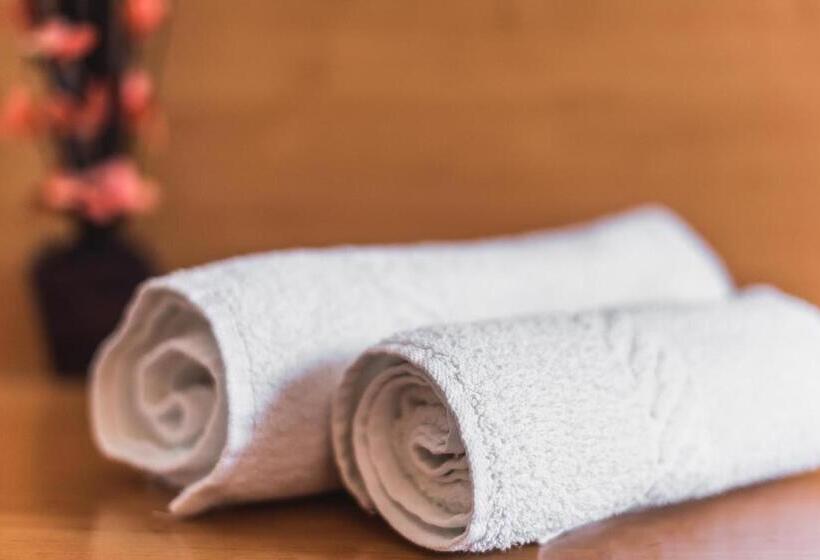 Quarto Estandar Individual, Raza De Soare