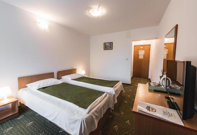 Quarto Estandar, Raza De Soare