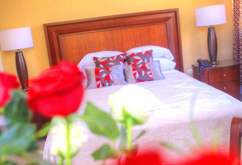 اتاق لوکس, Siball