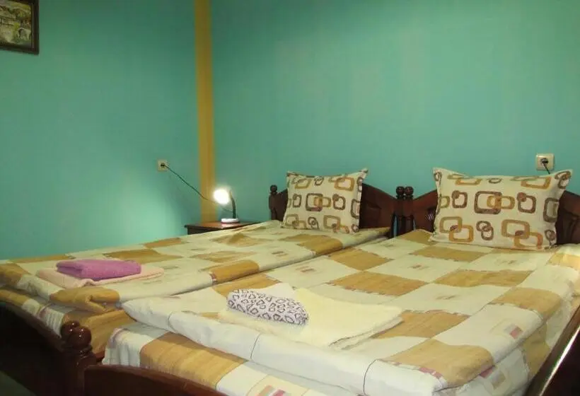 シングルデラックスルーム, Pri Orehite Guesthouse