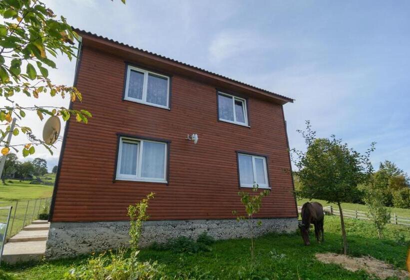 خانه 2 خوابه, U Ilka