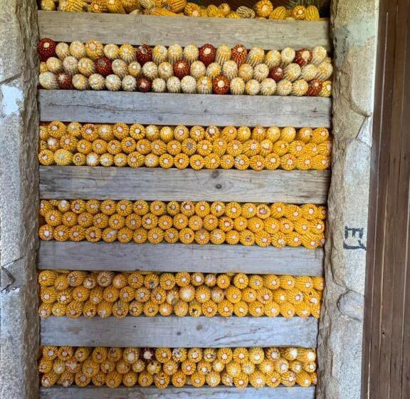 منزل غرفة نوم واحدة, Casa De Marcelo