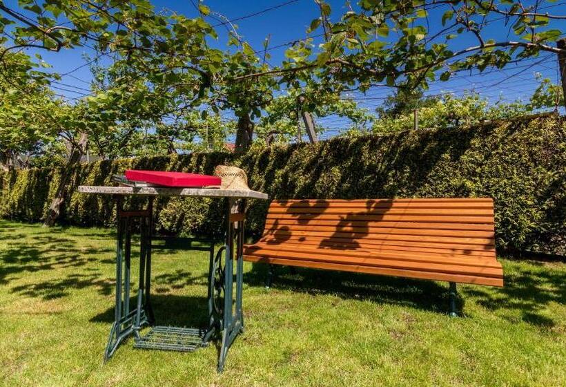 منزل غرفة نوم واحدة, Casa De Marcelo