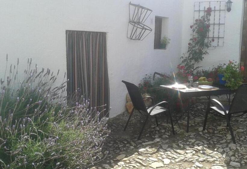Студия Стандарт, Cortijo Molino Los Justos