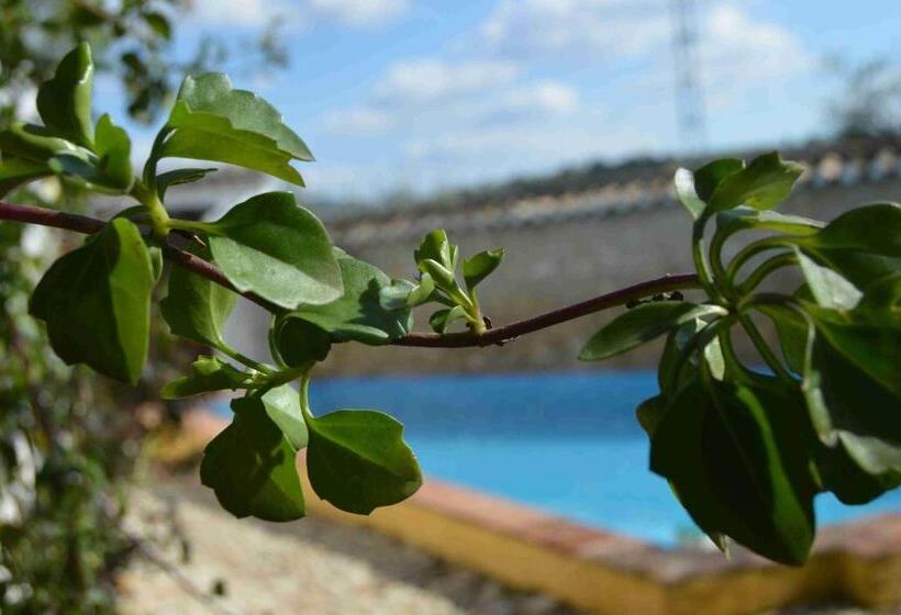 Апартаменты 3 Спальни, Cortijo Molino Los Justos