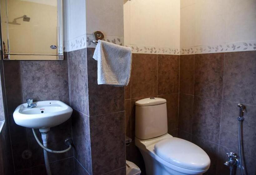 חדר סטנדרט, Sajjan Villa