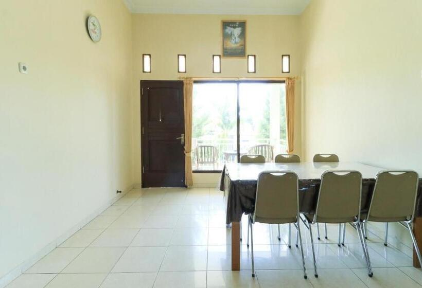 Villa Superior 1 Dormitorio, Villa Bunga