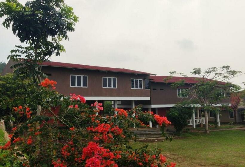 Номер Стандарт, Degung Hillside