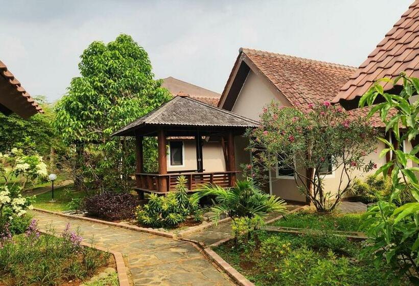 Номер Deluxe, Degung Hillside