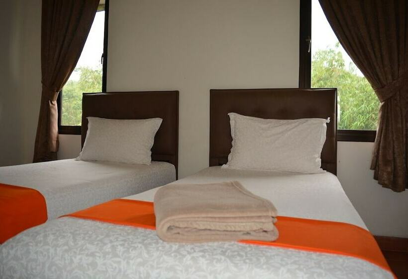 Номер Стандарт, Degung Hillside