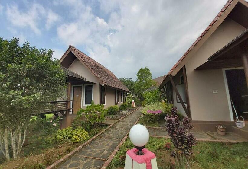 Номер Deluxe, Degung Hillside