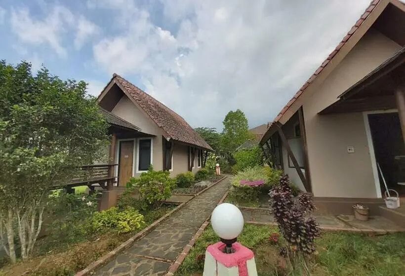 デラックスルーム, Degung Hillside