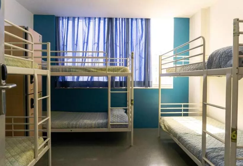 ルームシェアのワンベッド, Be Dream Hostel