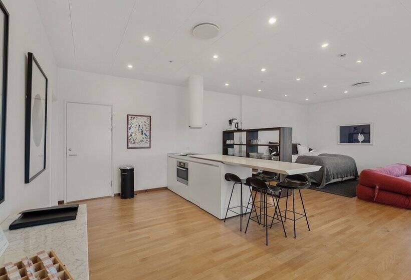 スタンダードスタジオ, Danhostel Copenhagen City & Apartments
