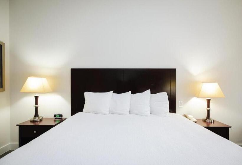 חדר סטנדרט עם מיטת קינג, Best Western Sugar Land   Richmond