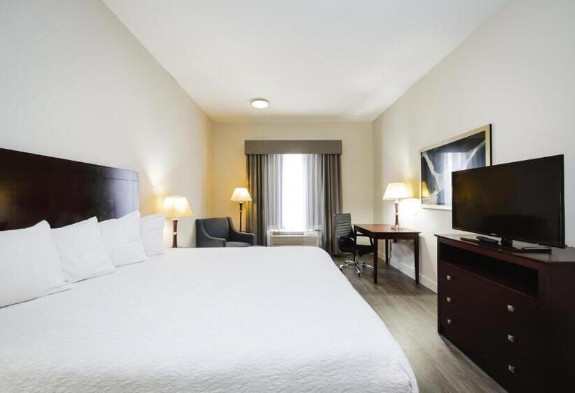 스탠다드 룸 킹사이즈 침대, Best Western Sugar Land   Richmond