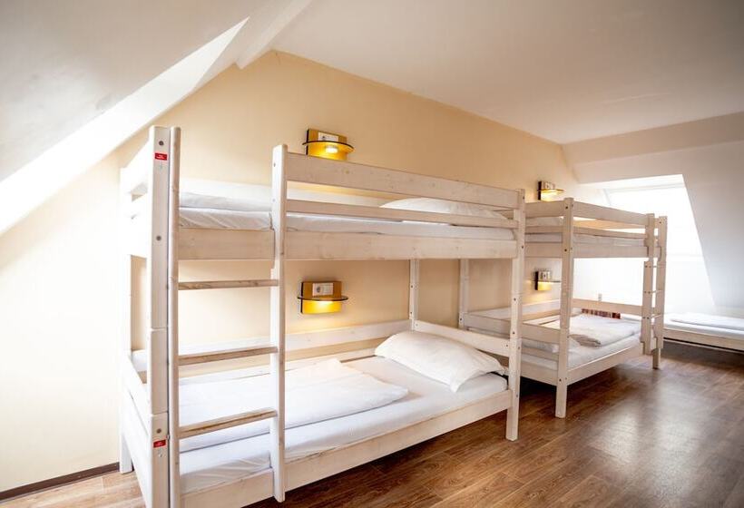 공동 객실, Wombat S City Hostel Vienna Naschmarkt