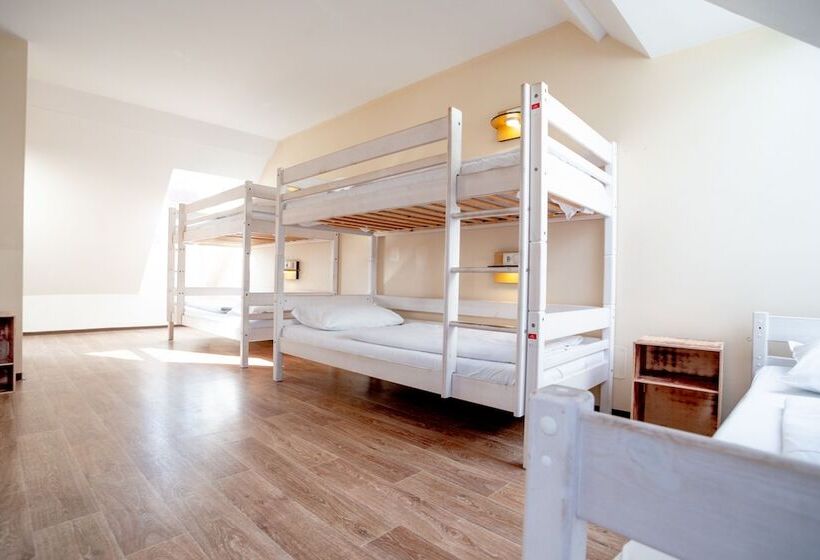 تختخواب در اتاق مشترک, Wombat S City Hostel Vienna Naschmarkt