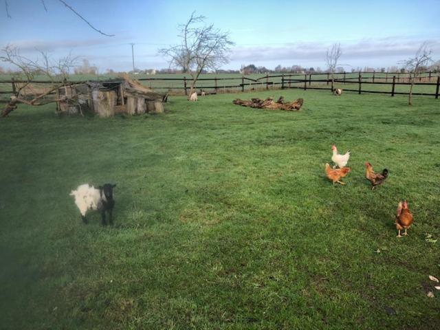 Family Suite, Domaine Les Bois Flottes Dans Maison De Charme Au Bord De Mer Et Proche De Cabourg