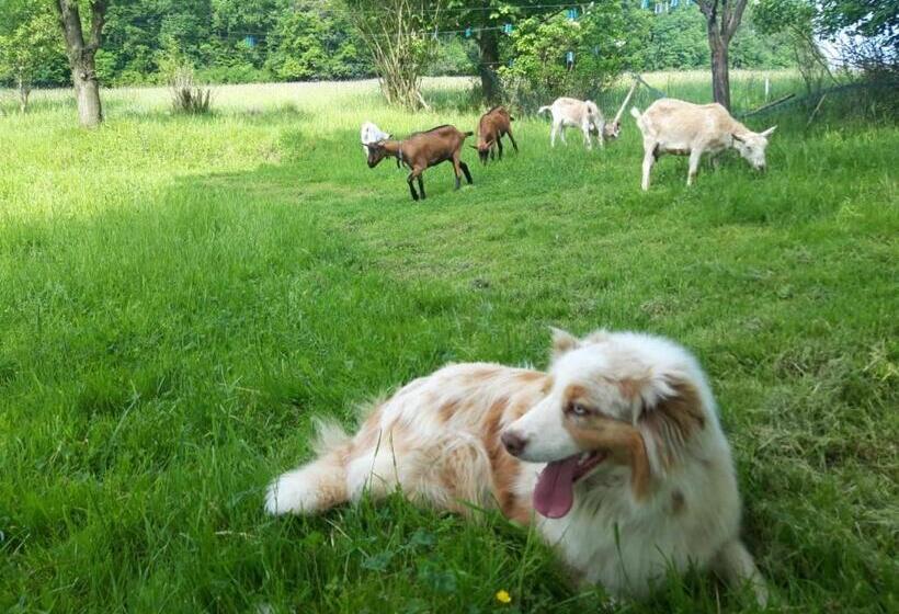 דירת חדר סופריור, Podhanská Roubenka