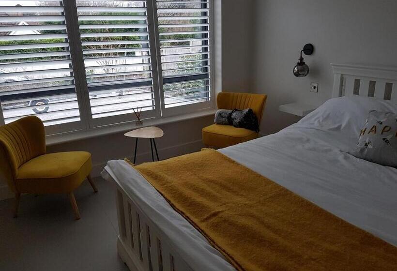 اتاق استاندارد, Petite Anchorage