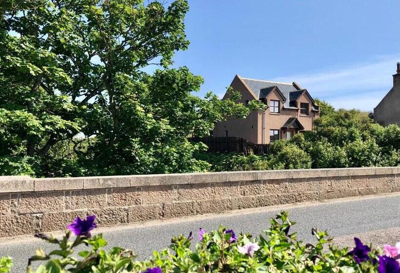 חדר דחוקס עם מיטת קינג, Room On The River