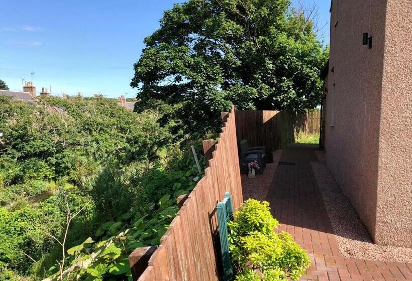 חדר דחוקס עם מיטת קינג, Room On The River