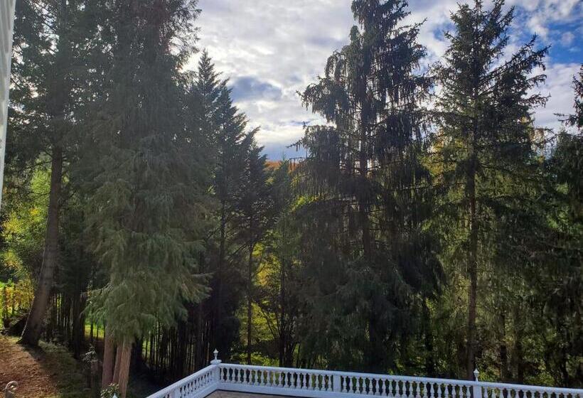 Номер Basic, Logis Vélès