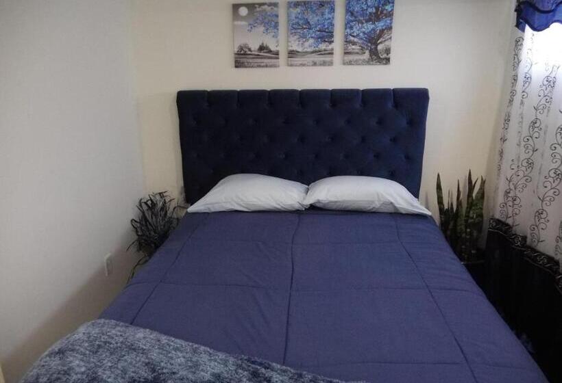 スタンダードルーム, The Blue Luxury Suite