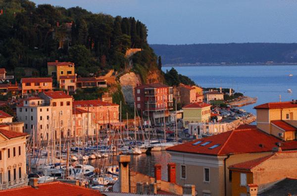 标准四人间共用浴室, Alibi B11