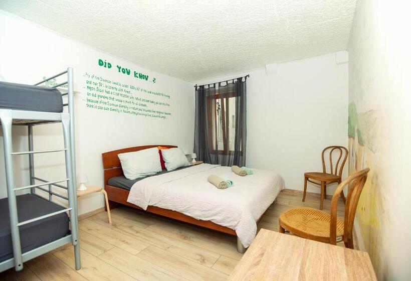 标准四人间共用浴室, Alibi B11