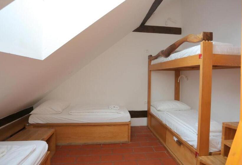 تختخواب در اتاق مشترک, Hostel Celica