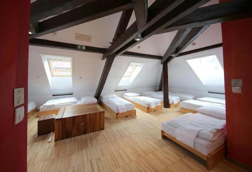 تختخواب در اتاق مشترک, Hostel Celica
