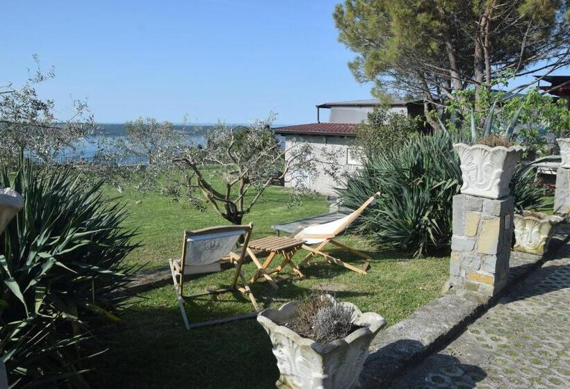 تختخواب در اتاق مشترک, Hostel Panorama Portorož