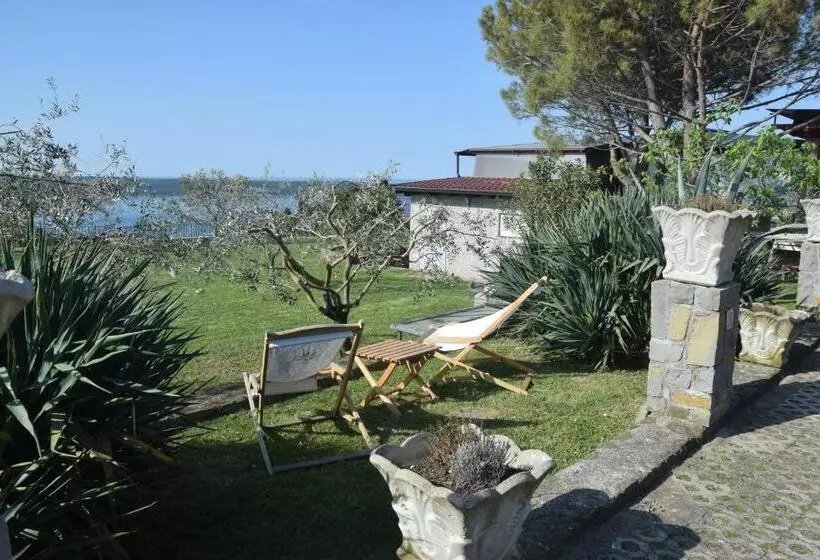 تختخواب در اتاق مشترک, Hostel Panorama Portorož