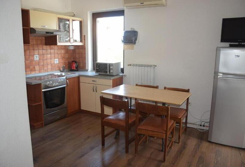 آپارتمان 1 خوابه با چشم‌انداز باغ, Hostel Panorama Portorož