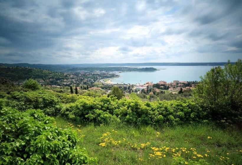 اتاق ساده سه‌ نفره, Hostel Panorama Portorož