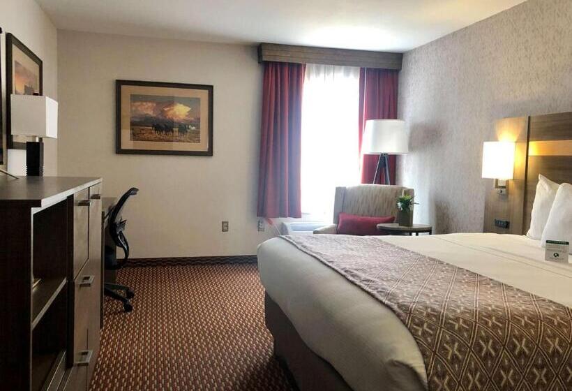 اتاق استاندارد با تخت بزرگ برای معلولان, Best Western Moriarty Heritage Inn