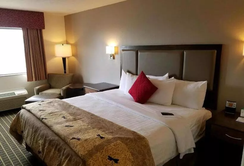 キングサイズベッドのスタンダードルーム, Best Western Plus Eagleridge Inn & Suites
