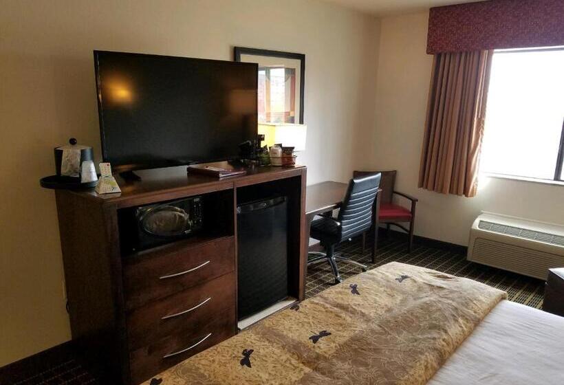 带大床的标准间, Best Western Plus Eagleridge Inn & Suites