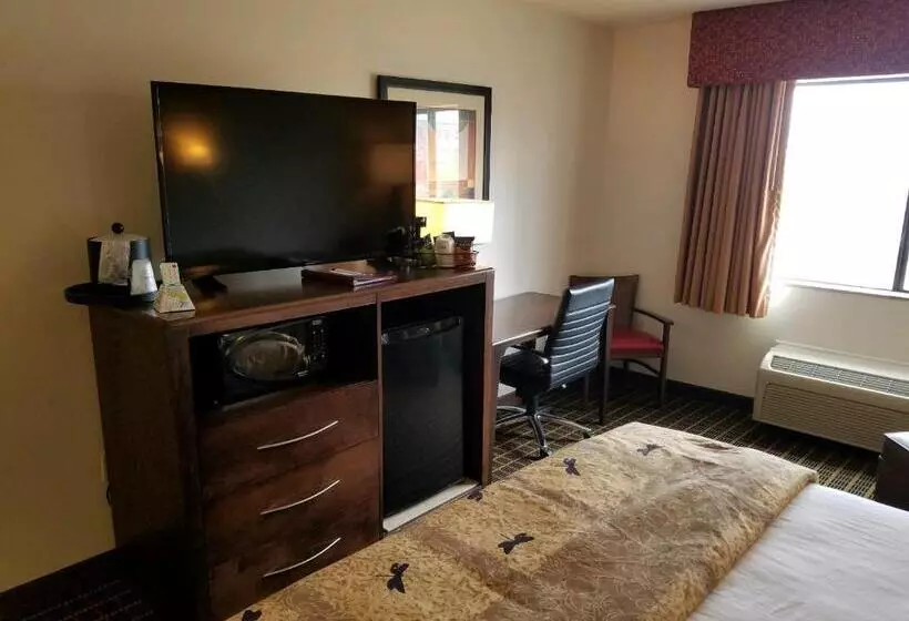 キングサイズベッドのスタンダードルーム, Best Western Plus Eagleridge Inn & Suites