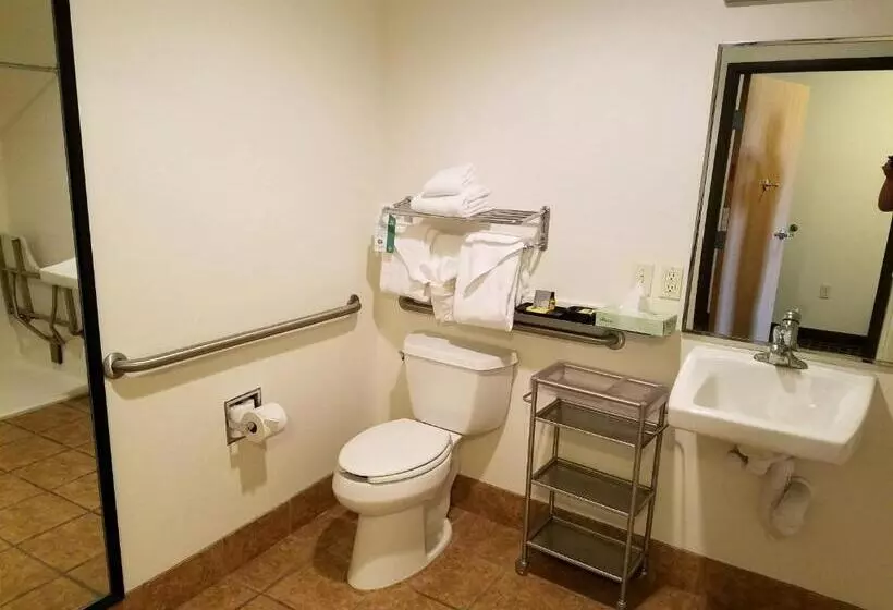 キングサイズベッドのスタンダードルーム, Best Western Plus Eagleridge Inn & Suites