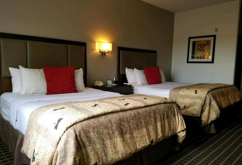 标准间, Best Western Plus Eagleridge Inn & Suites