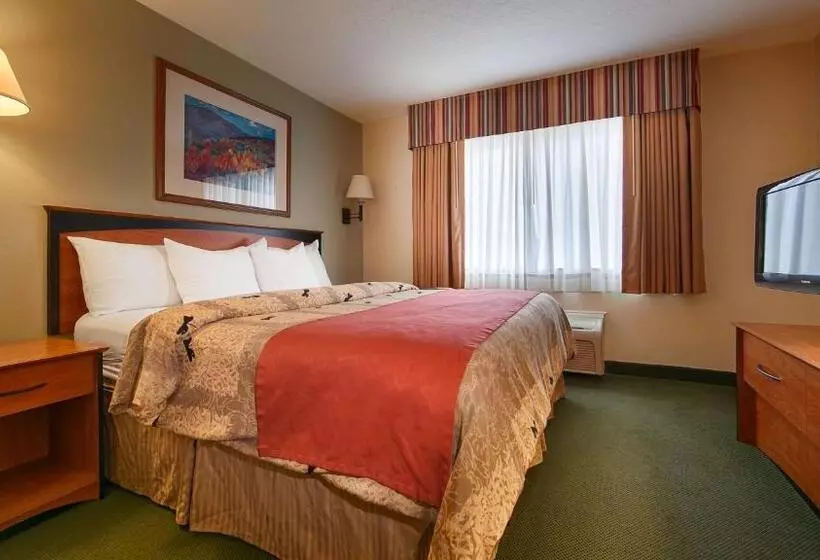 キングサイズベッドのスイートルーム, Best Western Plus Eagleridge Inn & Suites