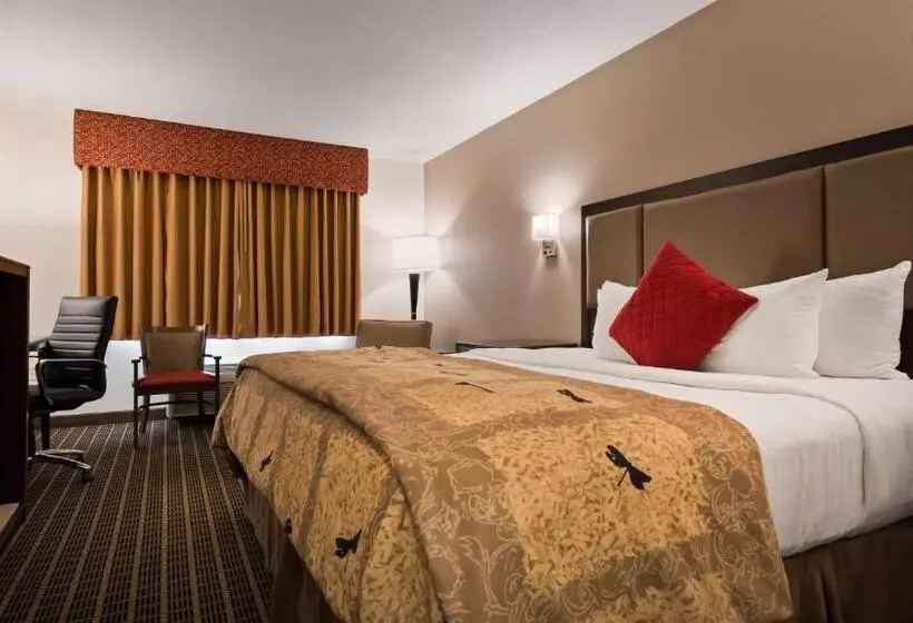 身障者適用キングサイズベッドルーム, Best Western Plus Eagleridge Inn & Suites