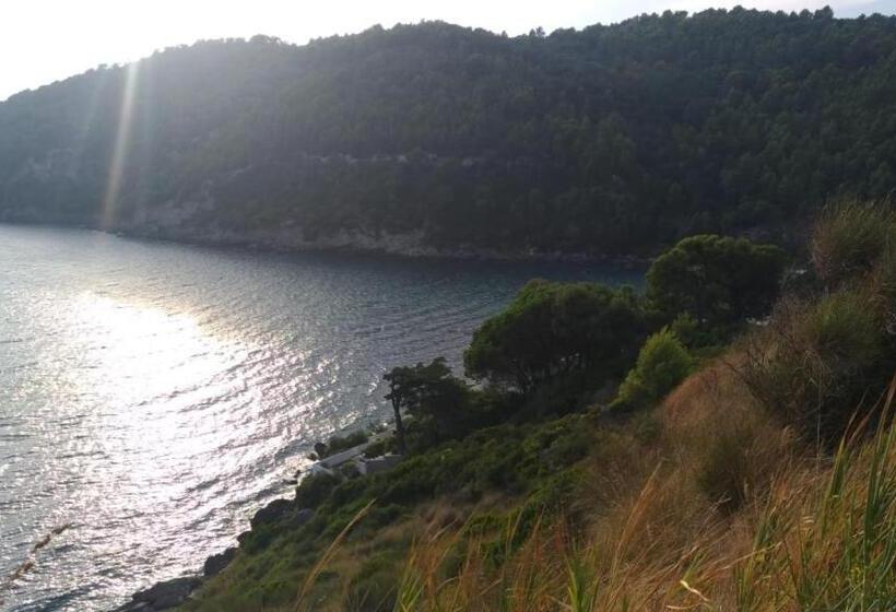 اتاق خانوادگی, B&b Angelina