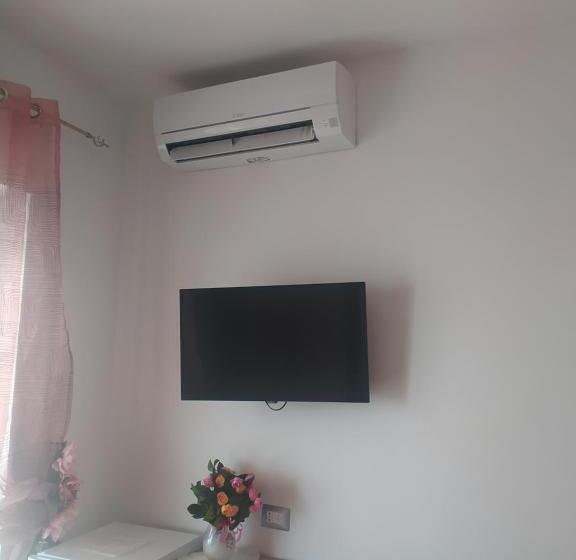 استودیوی استاندارد, B&b Angelina